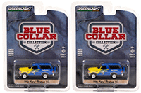 Greenlight - Blue Collar Collection Series 11 | Ford Bronco XL - Michelin Tires (1996, 1/64 scale diecast model car, Blue/Yellow) 35240D/48