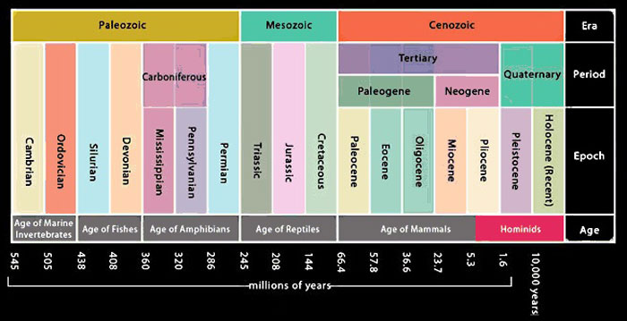 Chart-of-ages