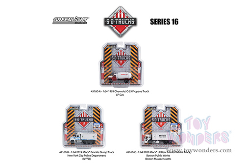 Greenlight - S.D. Trucks Series 16 (1/64 scale diecast model car, Asstd.) 45160/48