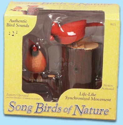 Song Birds of Nature