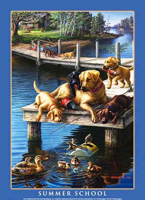 Tin Sign: Air Waves - Rural Workhorse Sign AW16