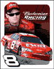 Show product details for Tin Sign: Nascar Dale Earnhardt Jr. 2006 #8 SD1370