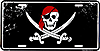 SLPSS-Pirate-Skull-License-Plate