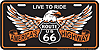 SLR6HA-Route66-Eagle-License-Plate