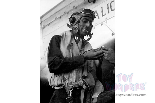 New Ray - P-51 Mustang&reg; Tuskegee Airmen "Red Tails" Model Kit (1/48 Scale plastic model, Silver/Red) SS-20235