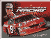 Show product details for Tin Sign: Dale Junior Racing 2005 Nascar sign TD1257