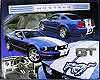 Show product details for Tin sign: 2005 Ford Mustang GT TG736